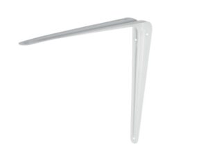 Palometa blanca 8x10 in