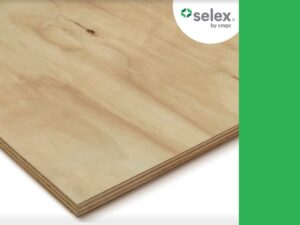 Panel de pino BC 1/4 in sin tratar